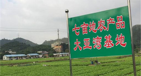 新航搬運(yùn)